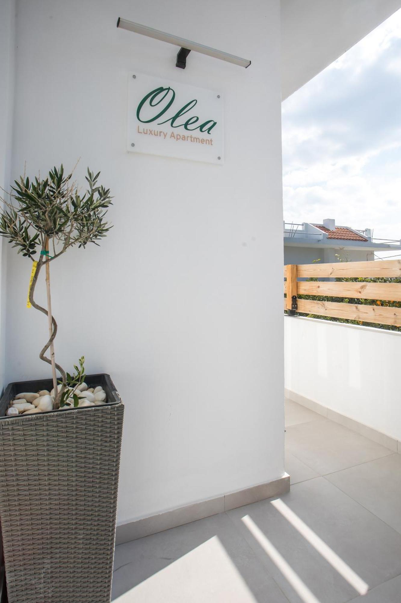 Olea Luxury Apartment Afantou Bagian luar foto