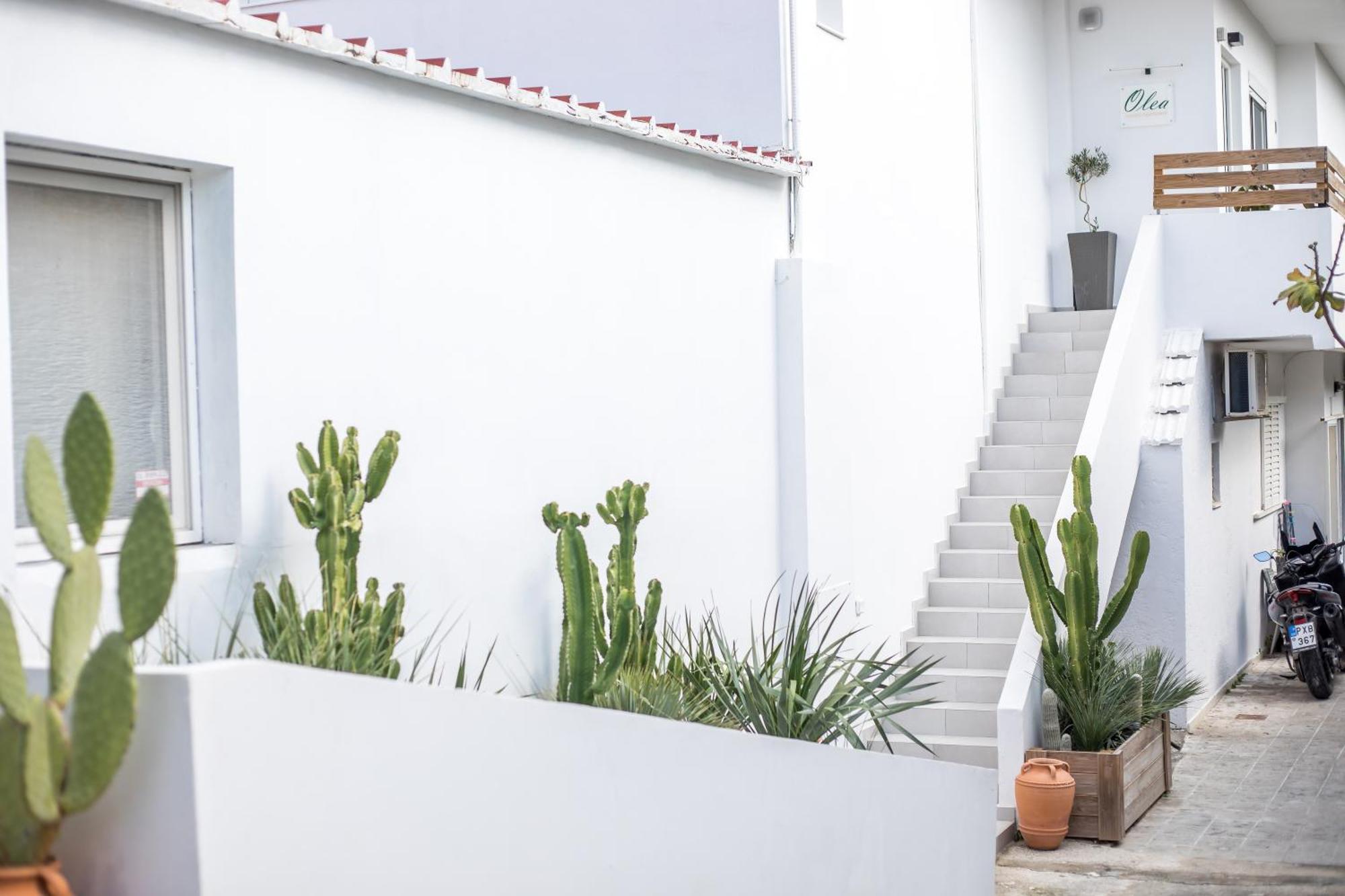 Olea Luxury Apartment Afantou Bagian luar foto