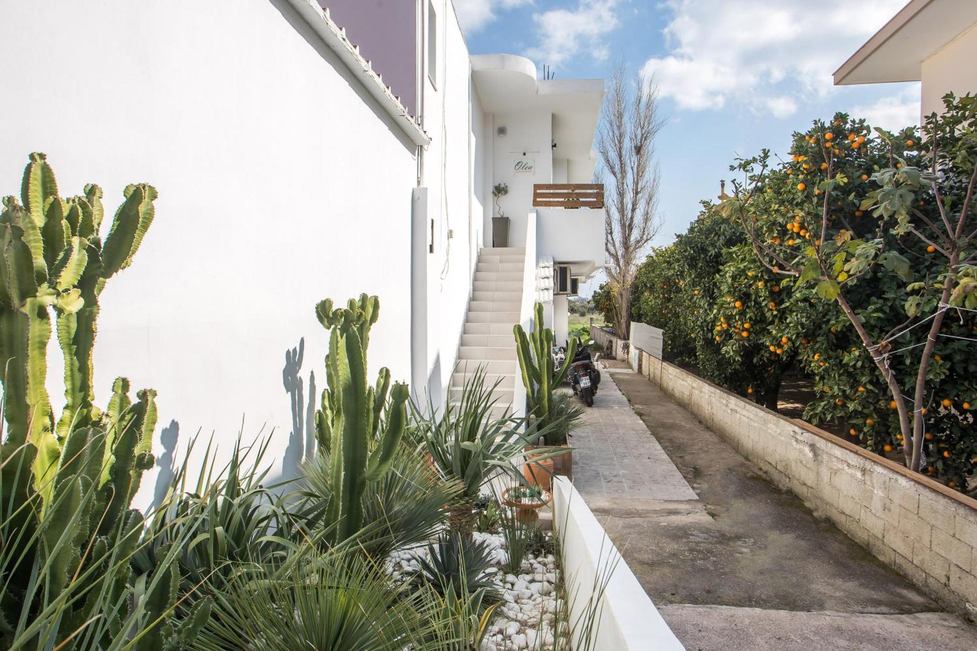 Olea Luxury Apartment Afantou Bagian luar foto